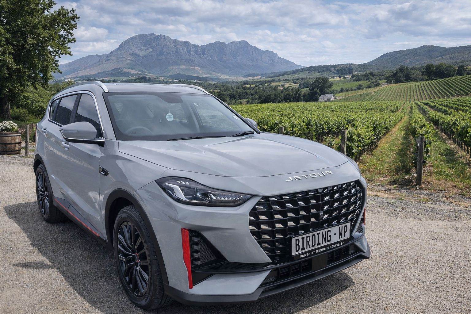 Lets Go Birding South Africa