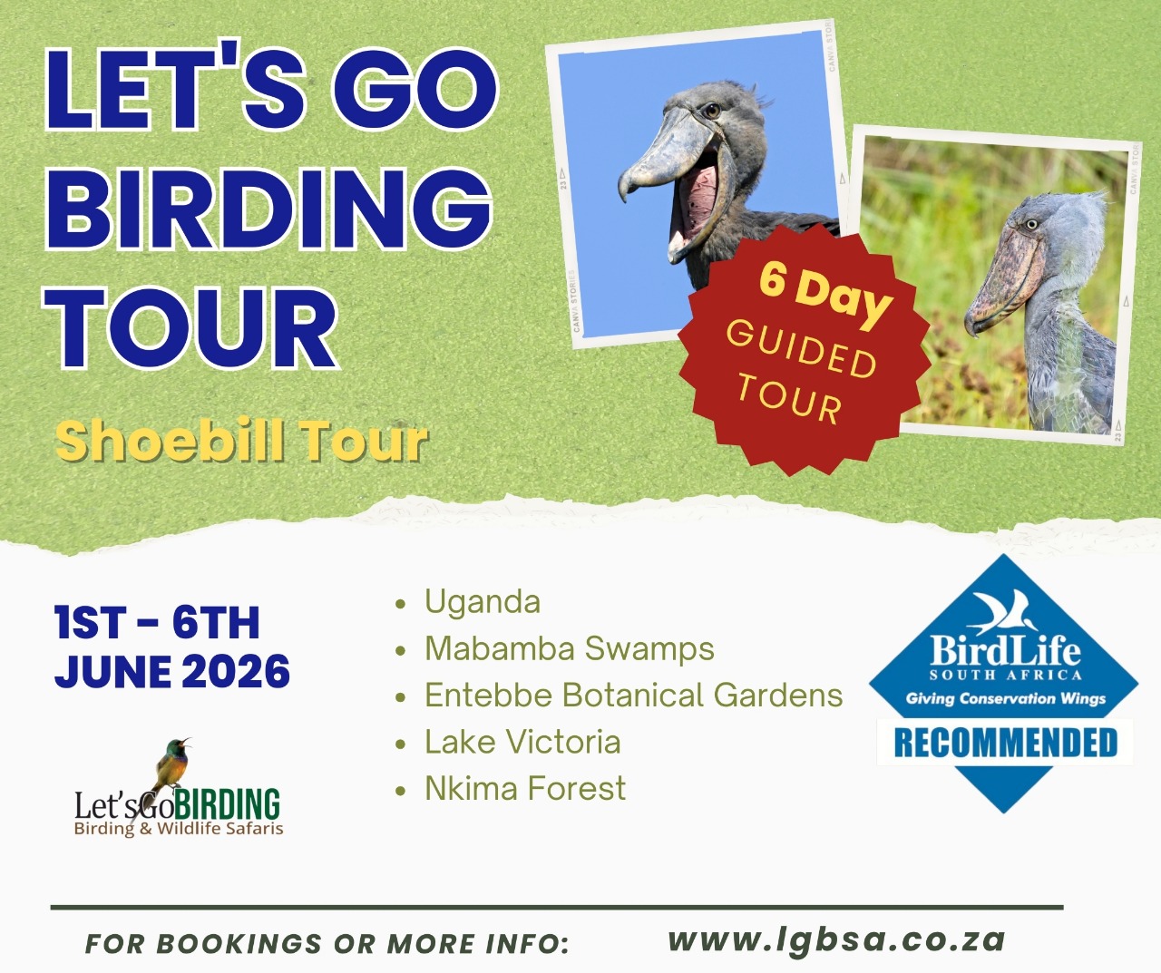 Lets Go Birding Tours in South Africa