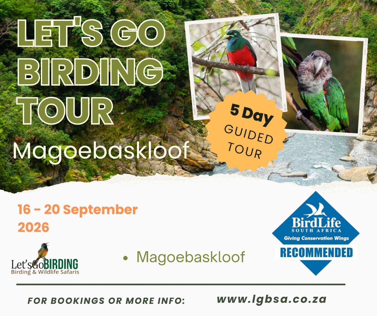 Lets Go Birding Tours in South Africa