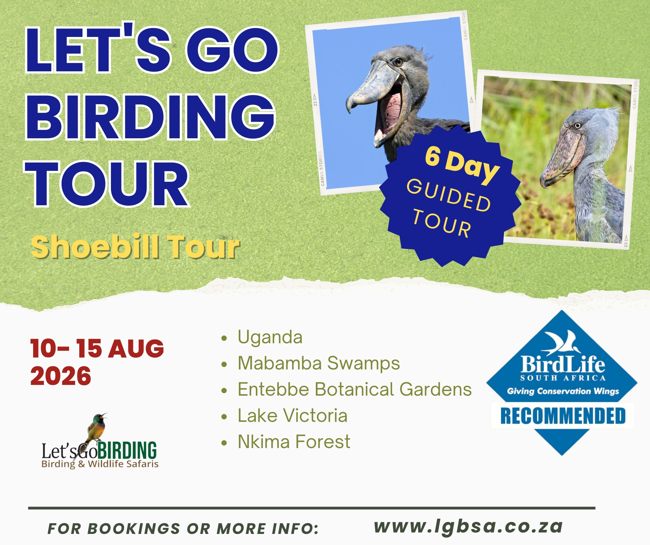 Lets Go Birding Tours