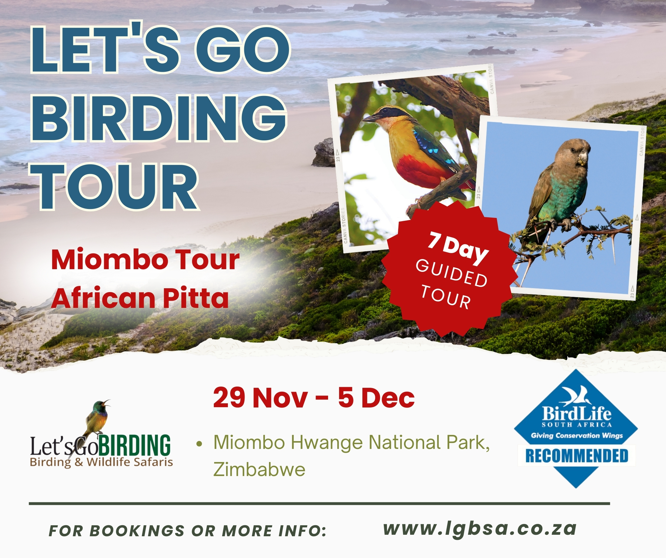 Lets Go Birding Tours