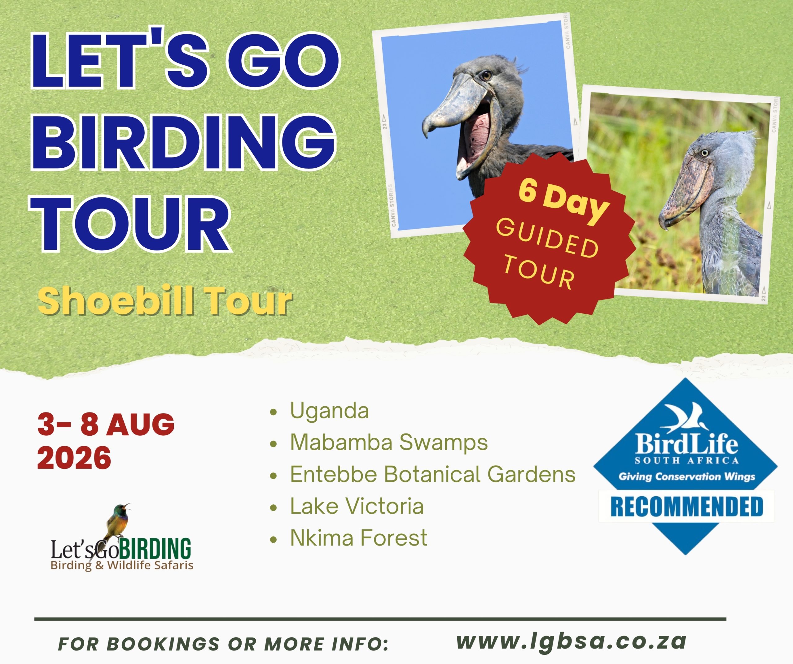 Lets Go Birding Tours