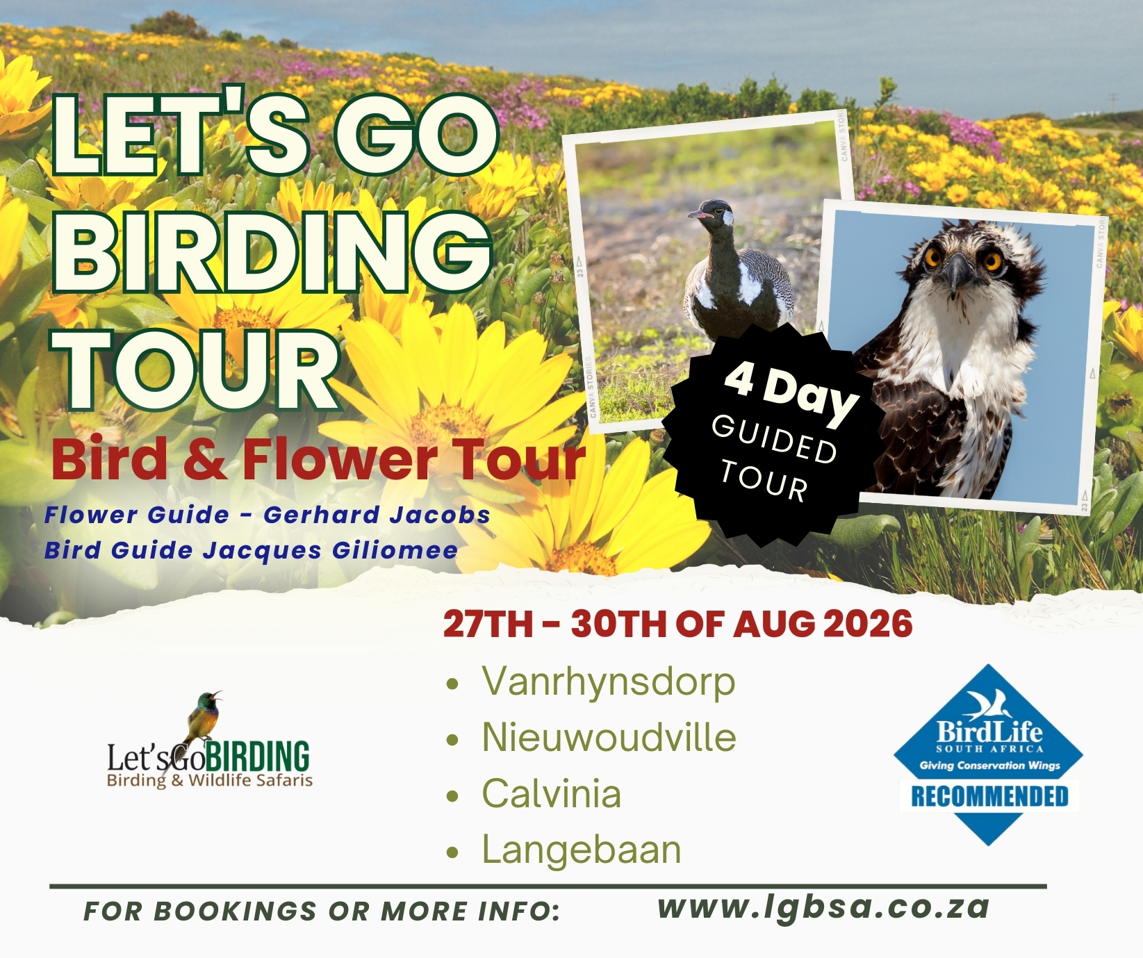 Lets Go Birding Tours
