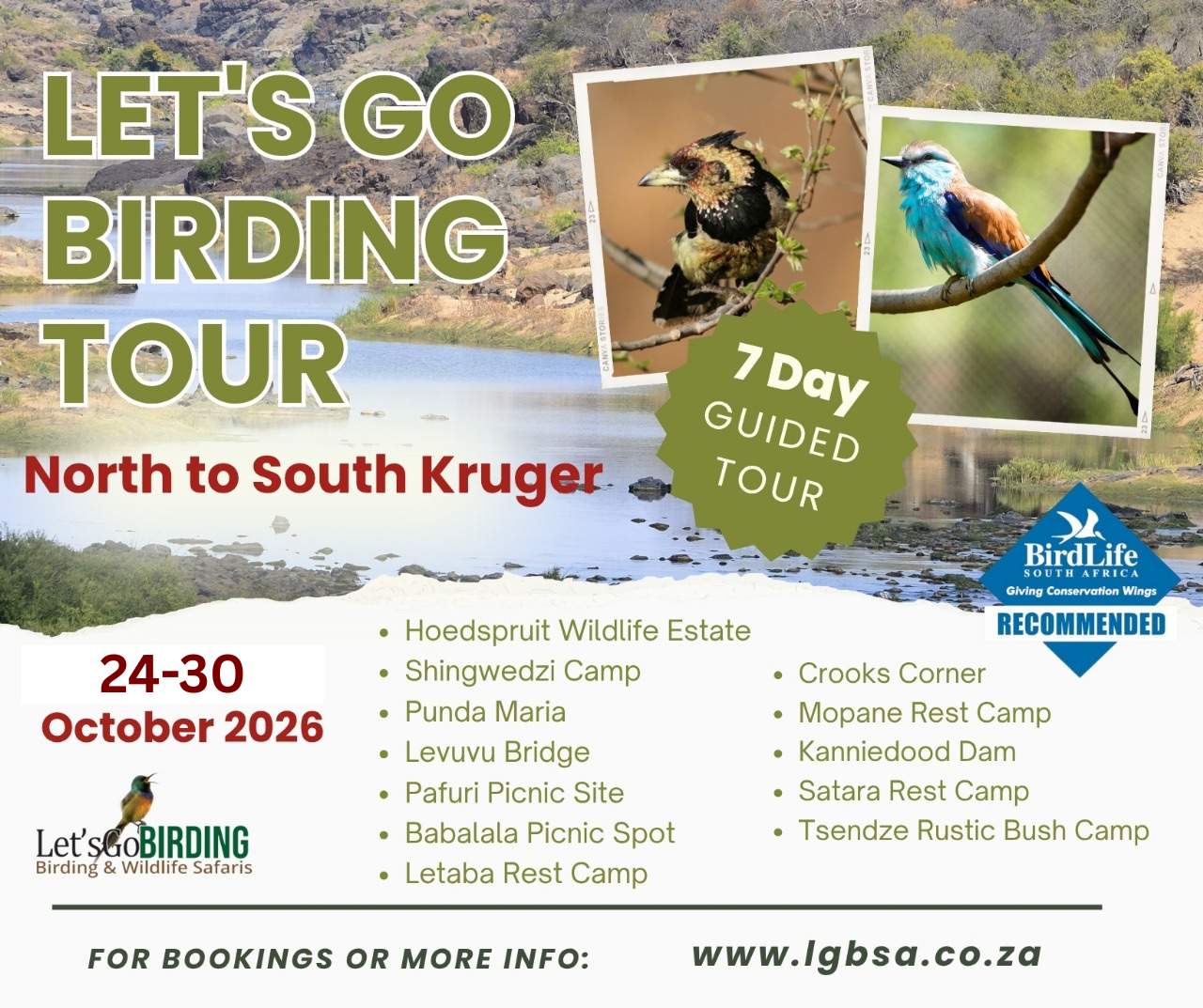 Lets Go Birding Tours