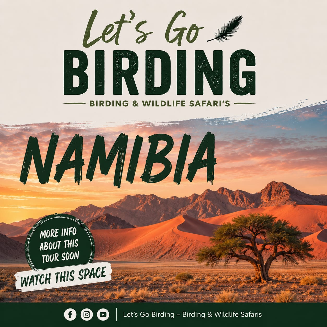 Namibia Bird Tour with Lets go birding 2027