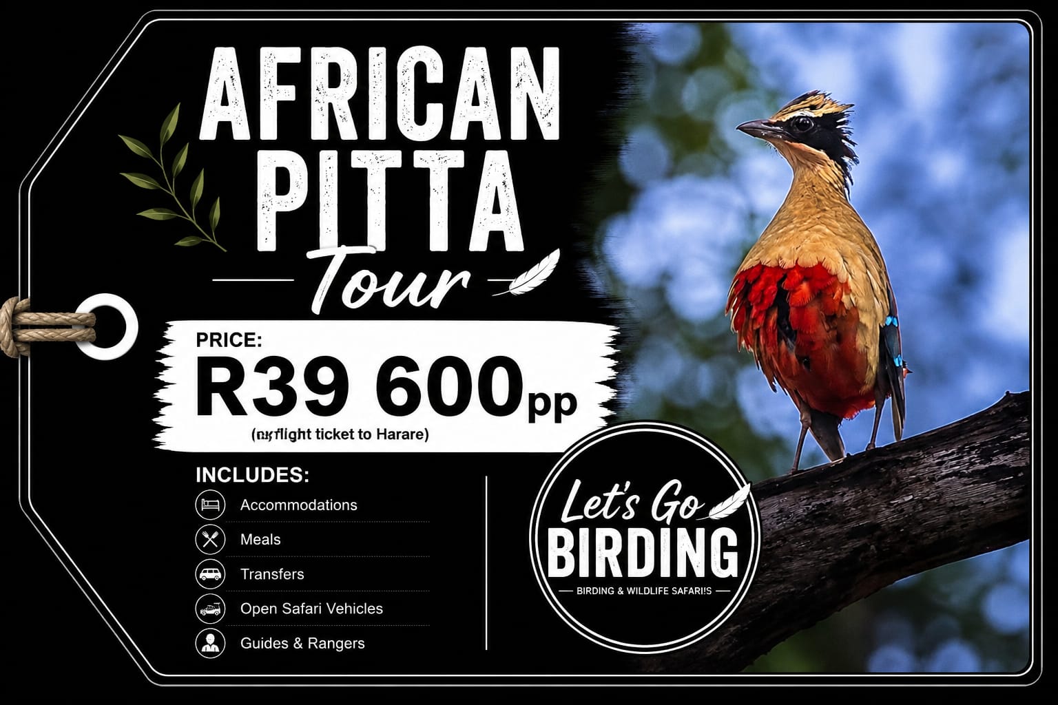 Lets Go Birding Pitta Tour 2027