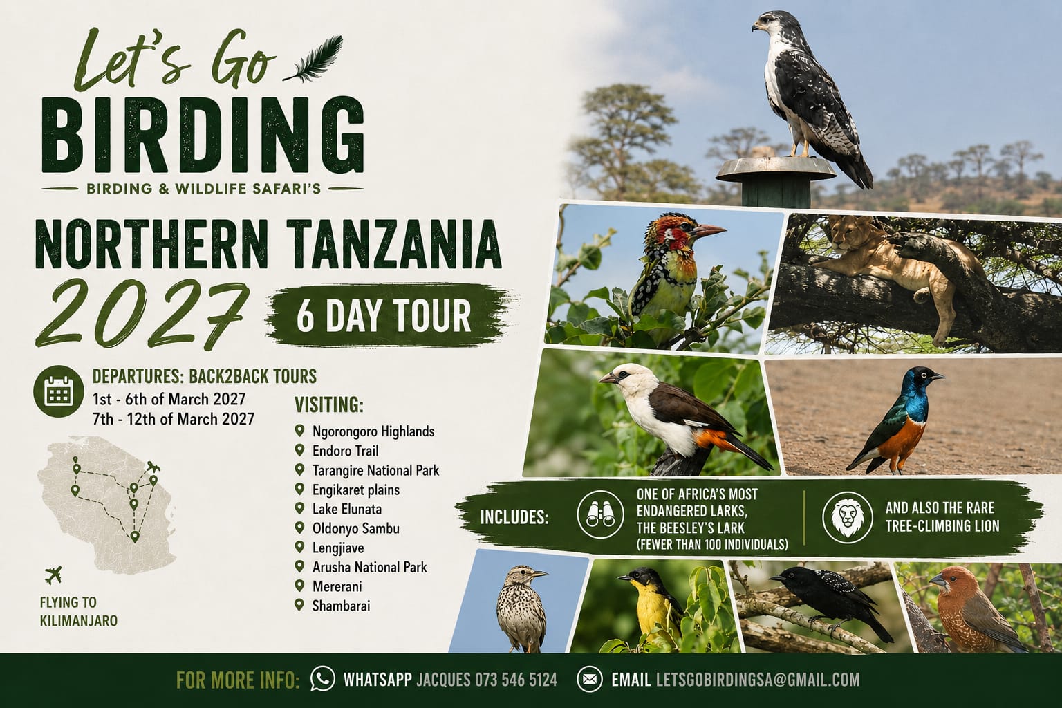 Let's Go Birding Northern Tanzania Tour 2027