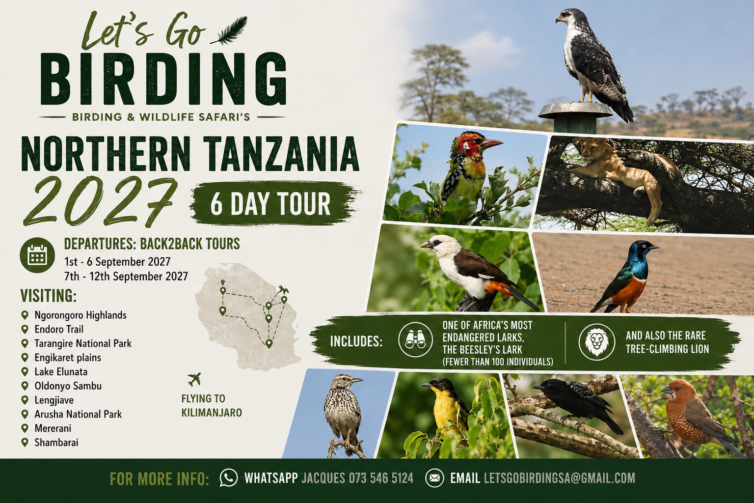 Northern Tanzania Bird Tour with Lets Go Birding