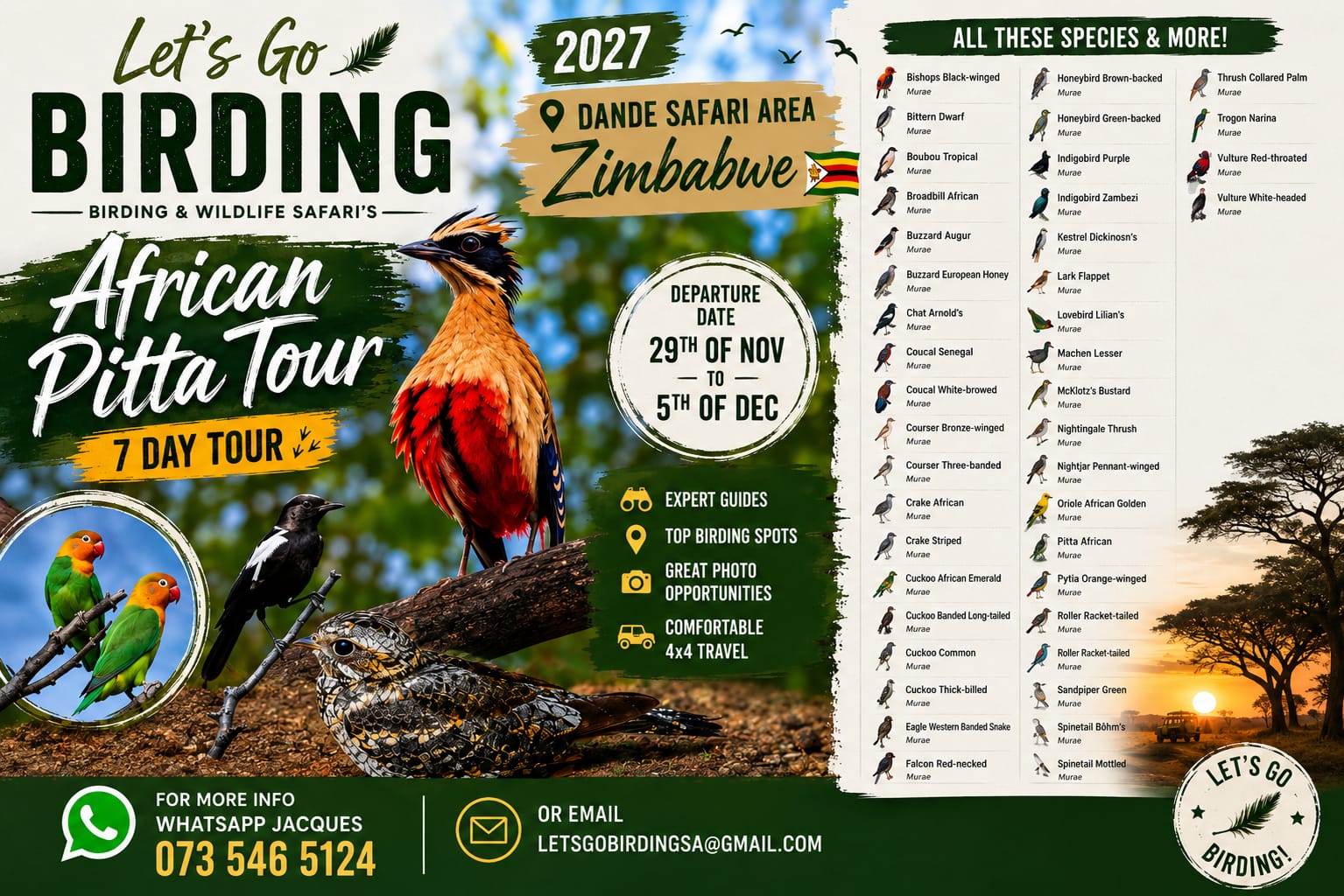 Lets Go Birding Pitta Tour 2027