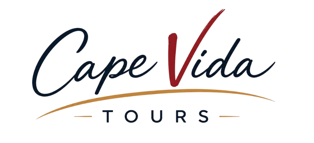 Cape Vida Tours Logo