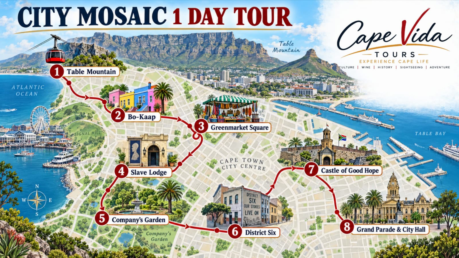 Cape Vida Tours South Africa 